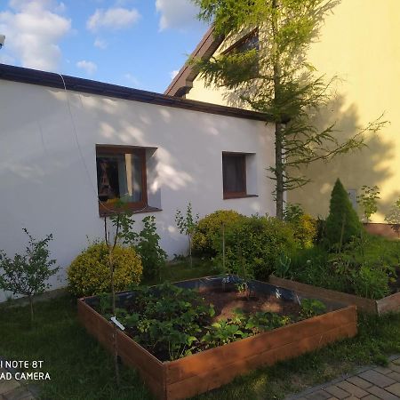 Apartament Gniezno - Mnichowo Экстерьер фото